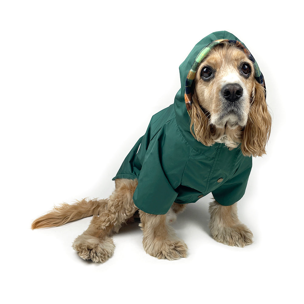Dog Rain Jacket - Forest Green