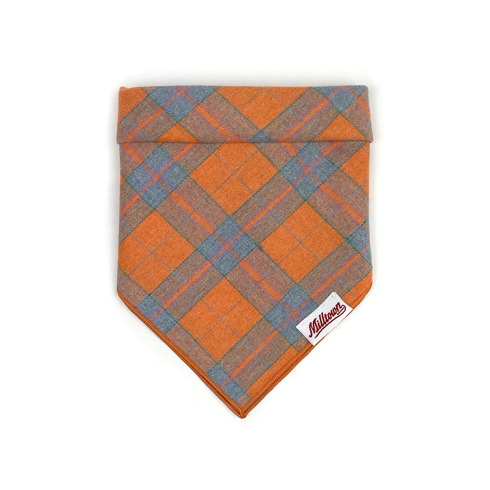 Square Dog Bandana - Sunday Brunch