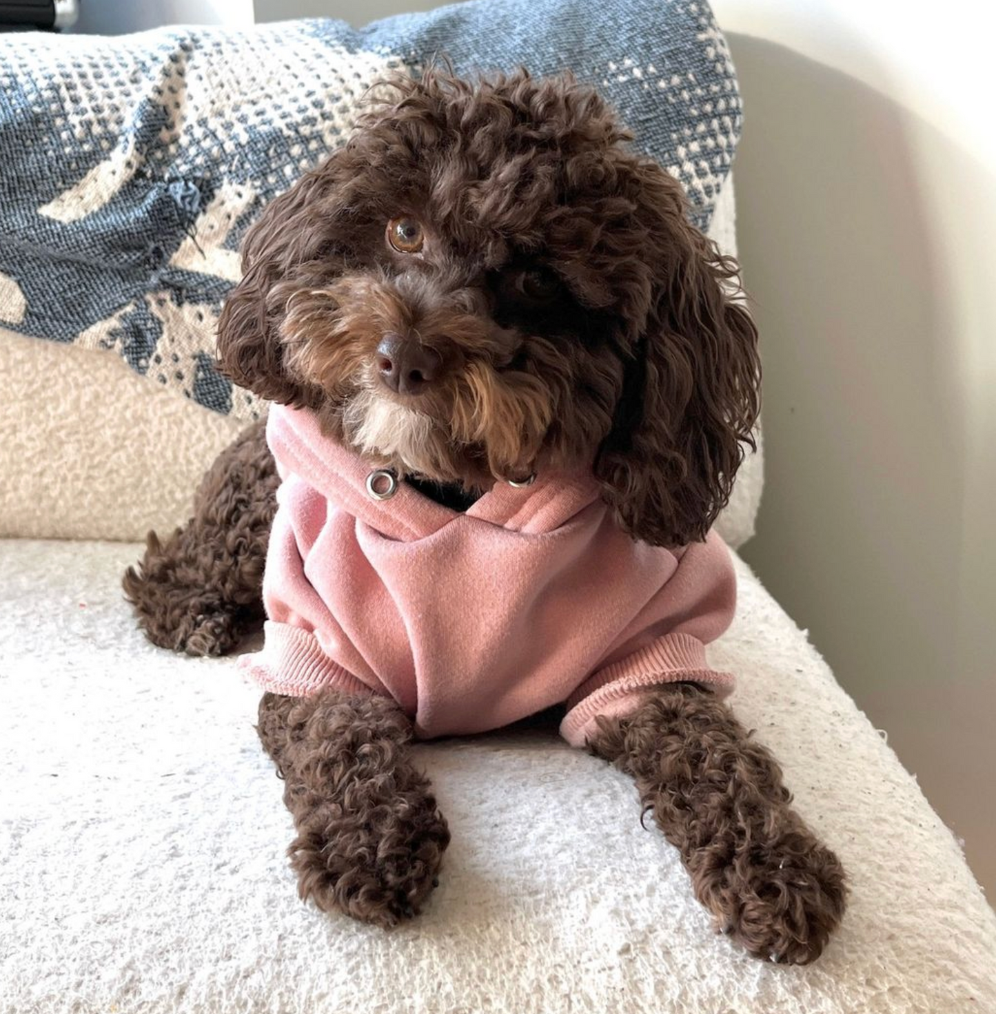 Pullover Dog Hoodie - Dusty Pink