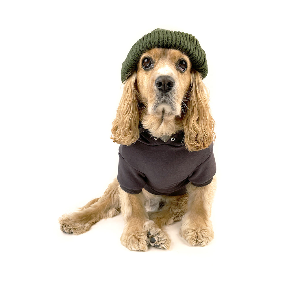 Pullover Dog Hoodie - Vintage Black