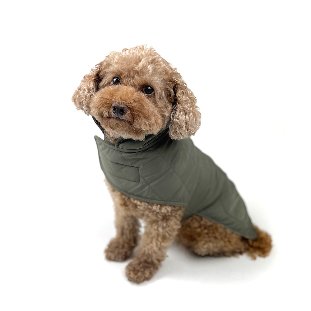 Dog Reversible Poly Wool/Quilted Winter Coat - Army Green