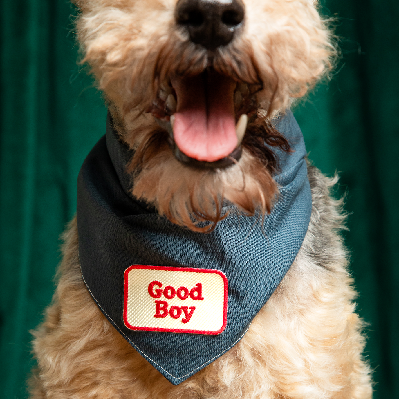 Scout's Honour - Good Boy iron-on patch for dogs