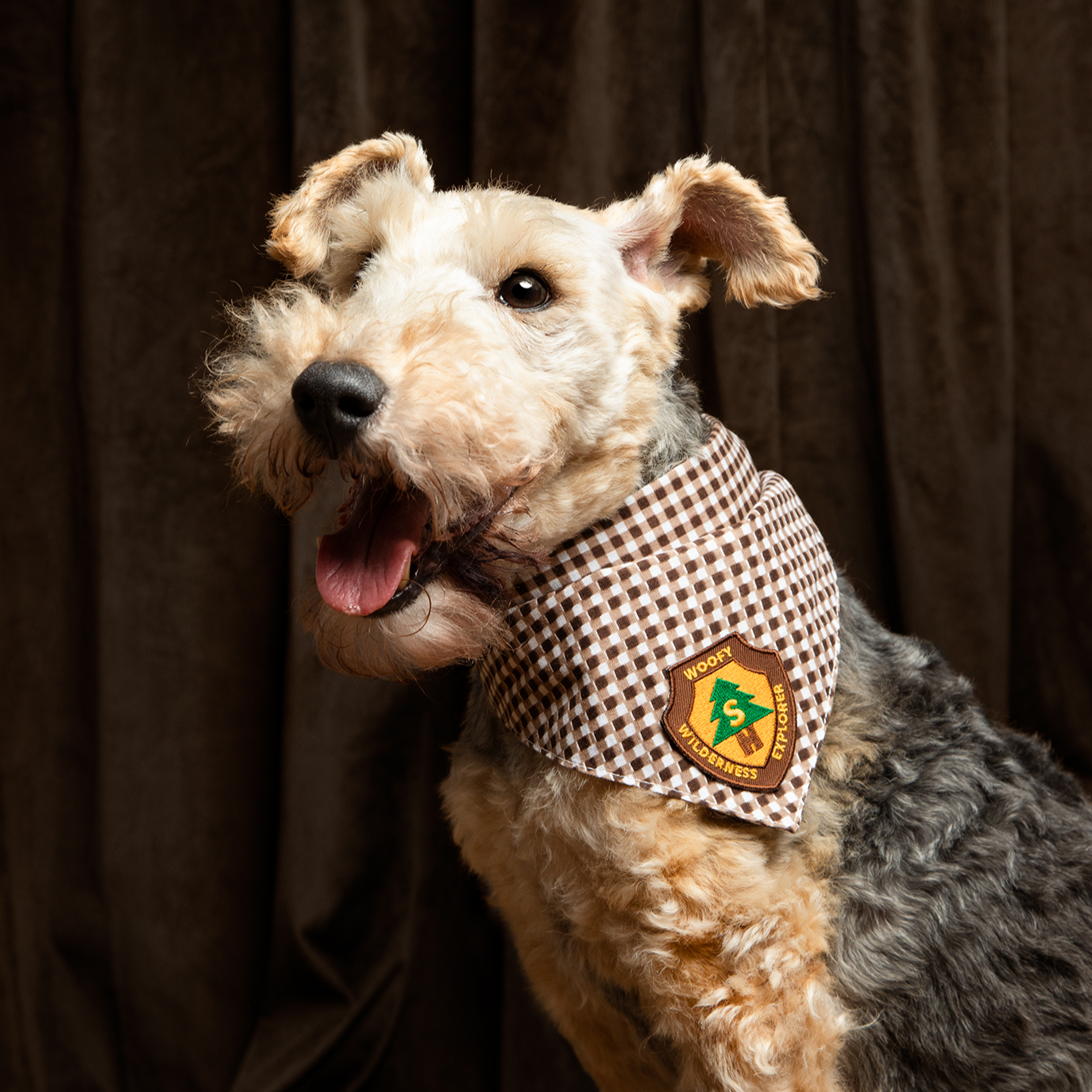 Scout's Honour - Woofy Wilderness Explorer iron-on patch for dogs