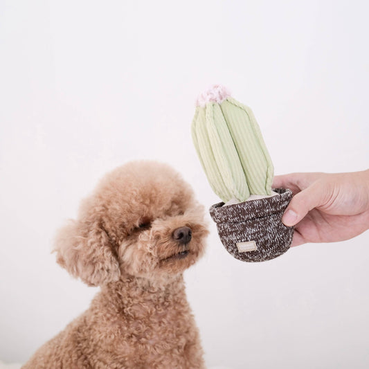 Lambwolf Collective: CACTUS