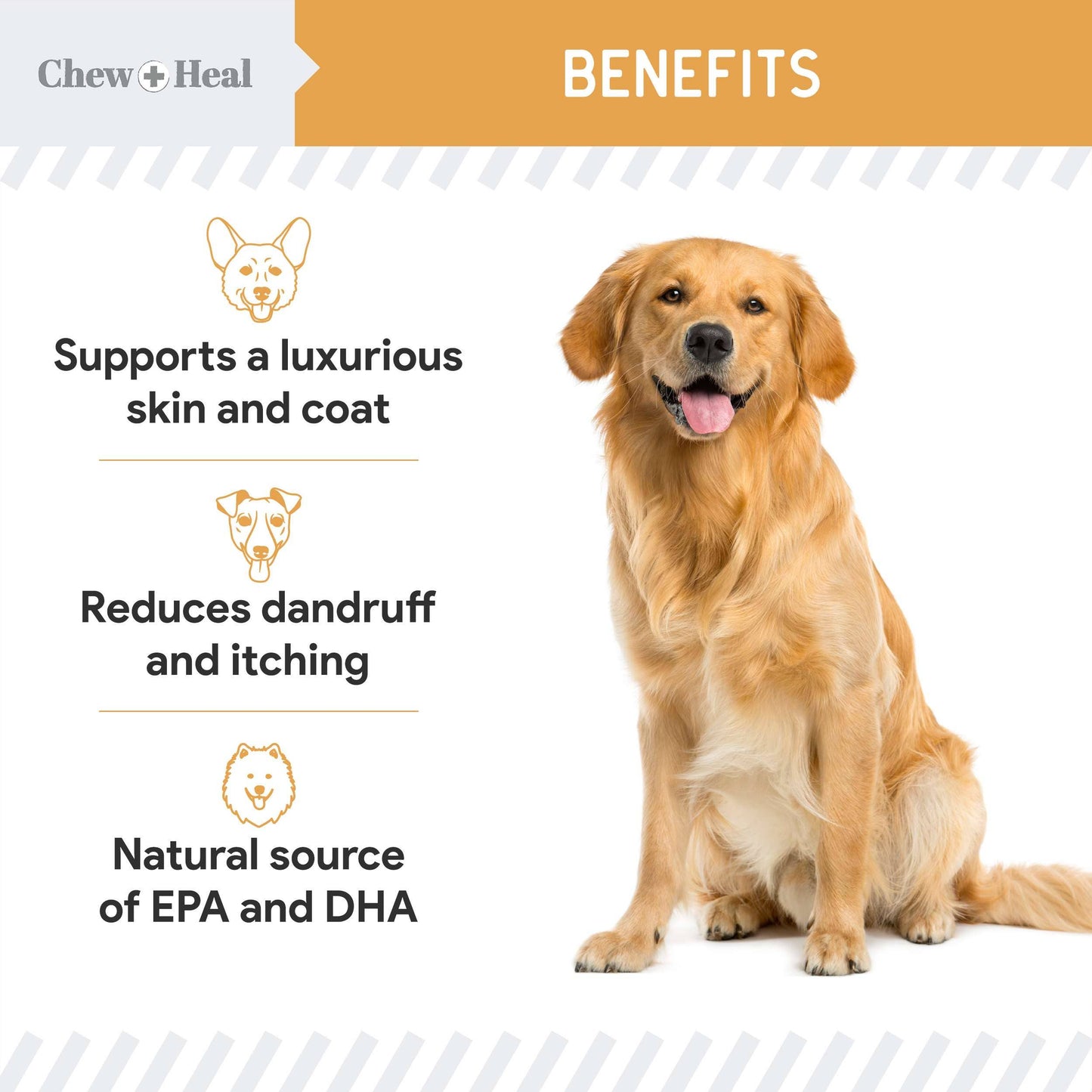 Chew + Heal : Wild Alaskan Omega Soft Jerky Treats for Dogs - 5oz. Bag