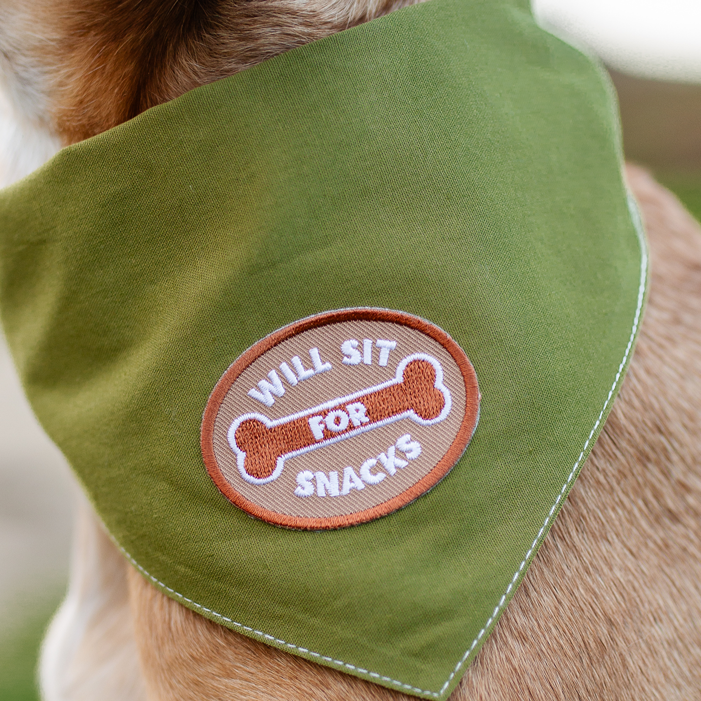 Scout's Honour - Will Sit For Snacks iron-on patch for dogs