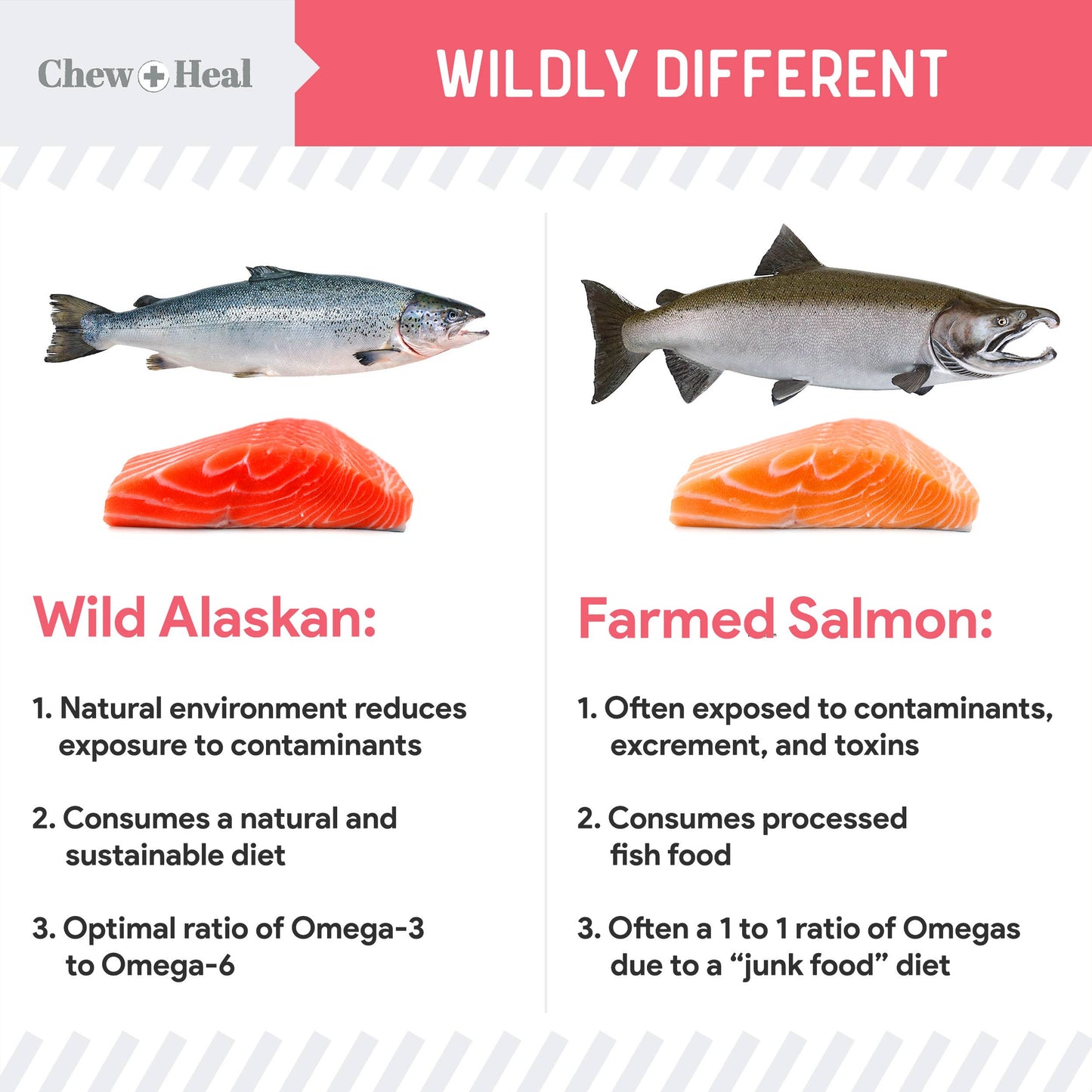 Chew + Heal : Puppy Wild Alaskan Salmon Limited Ingredient Dog Treats: 5oz