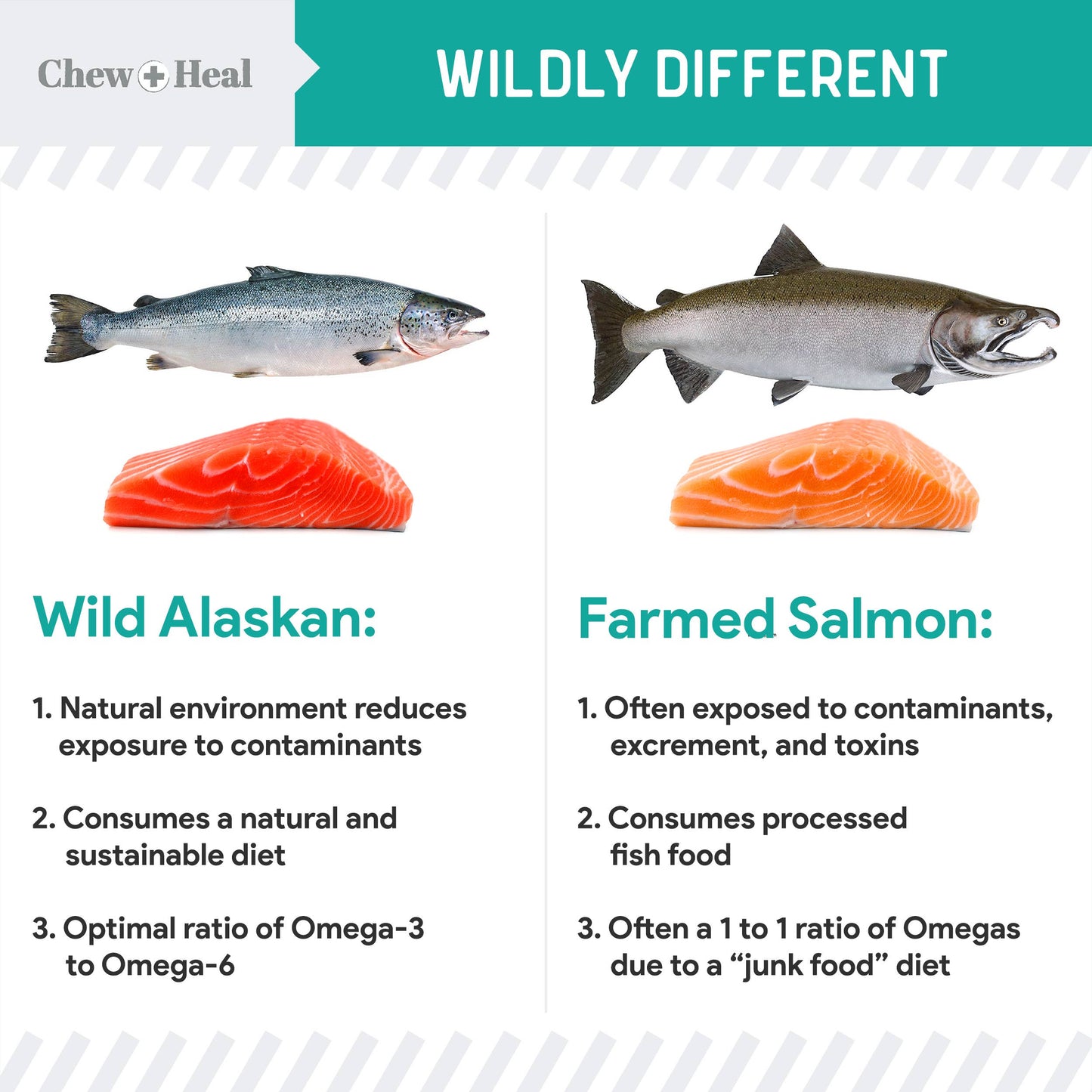 Chew + Heal : Wild Alaskan Probiotic Soft Jerky Treats for Dogs - 5oz.