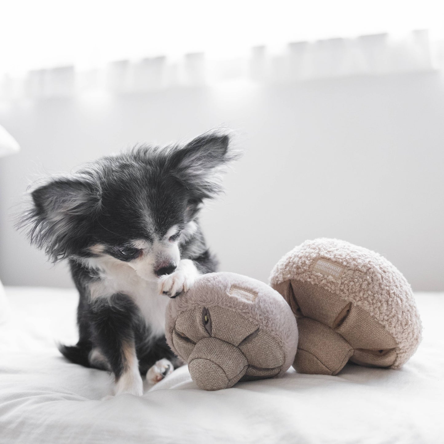 Lambwolf Collective: GUU//OAT//NOSEWORK MUSHROOM//ENRICHMENT DOG TOY: Medium