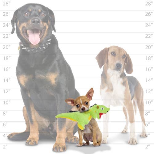 Mighty Jr Dragon - Green, Plush, Squeaky Dog Toy