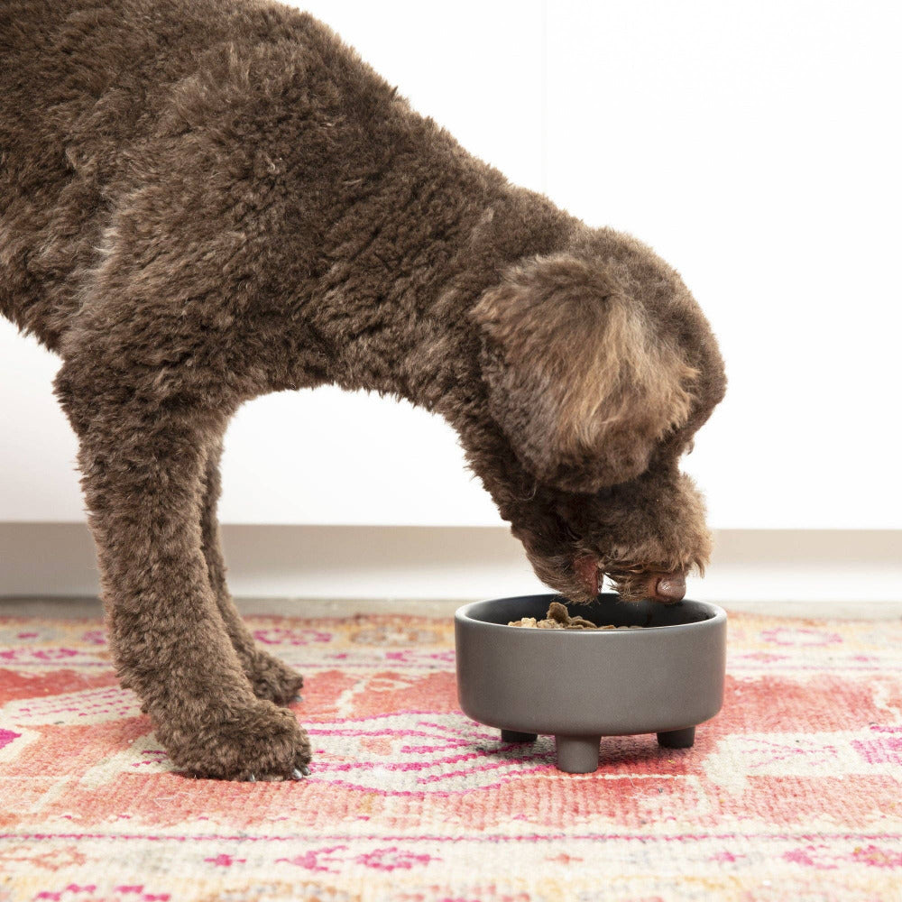Waggo - Uplift Bowl Ceramic Dog Bowl - Speckle