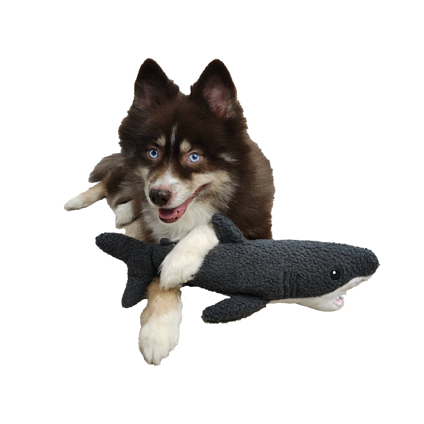 Dog Star - Gilly the Shark Fleece Dog Toy