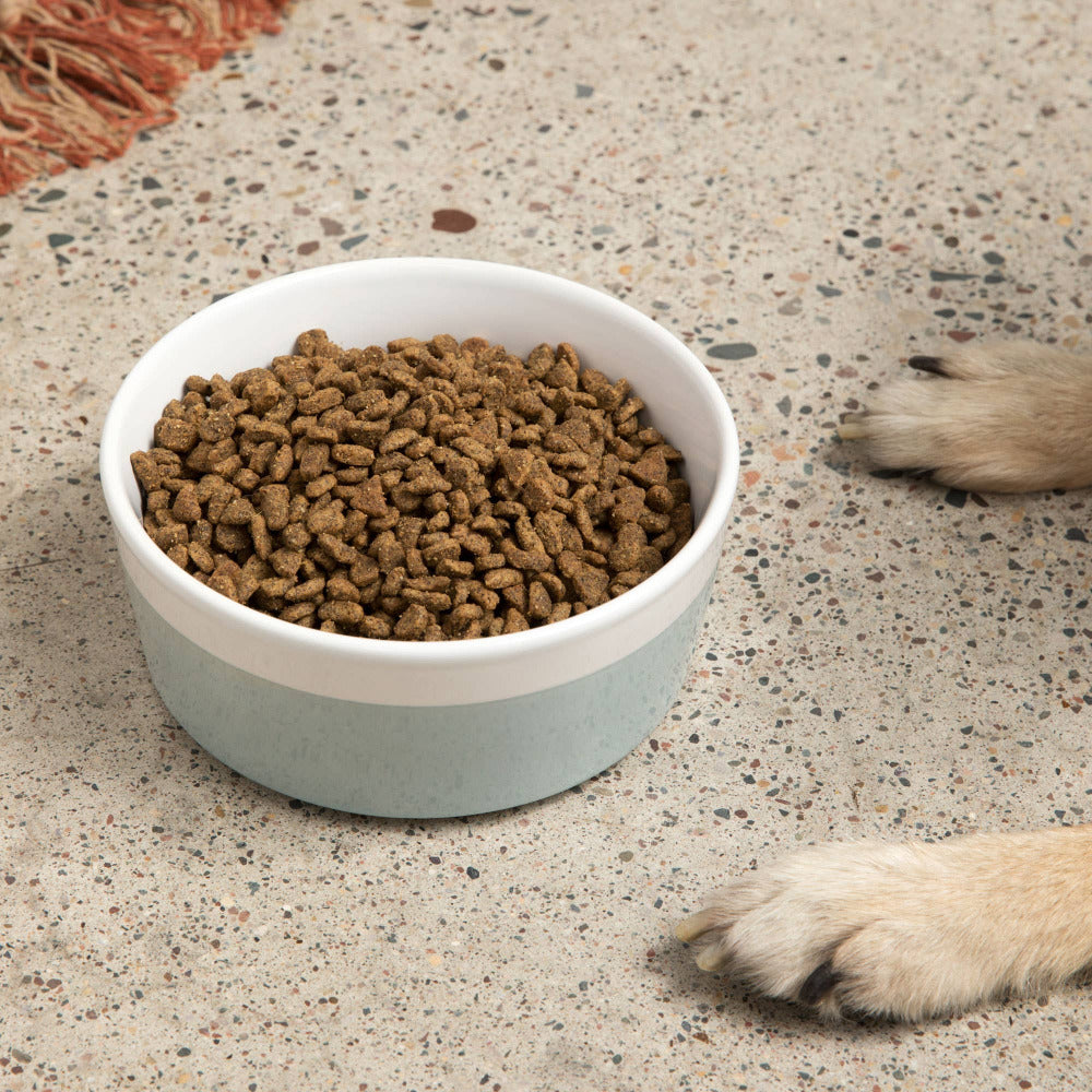 Waggo - Dipper Ceramic Dog Bowl - Teracotta