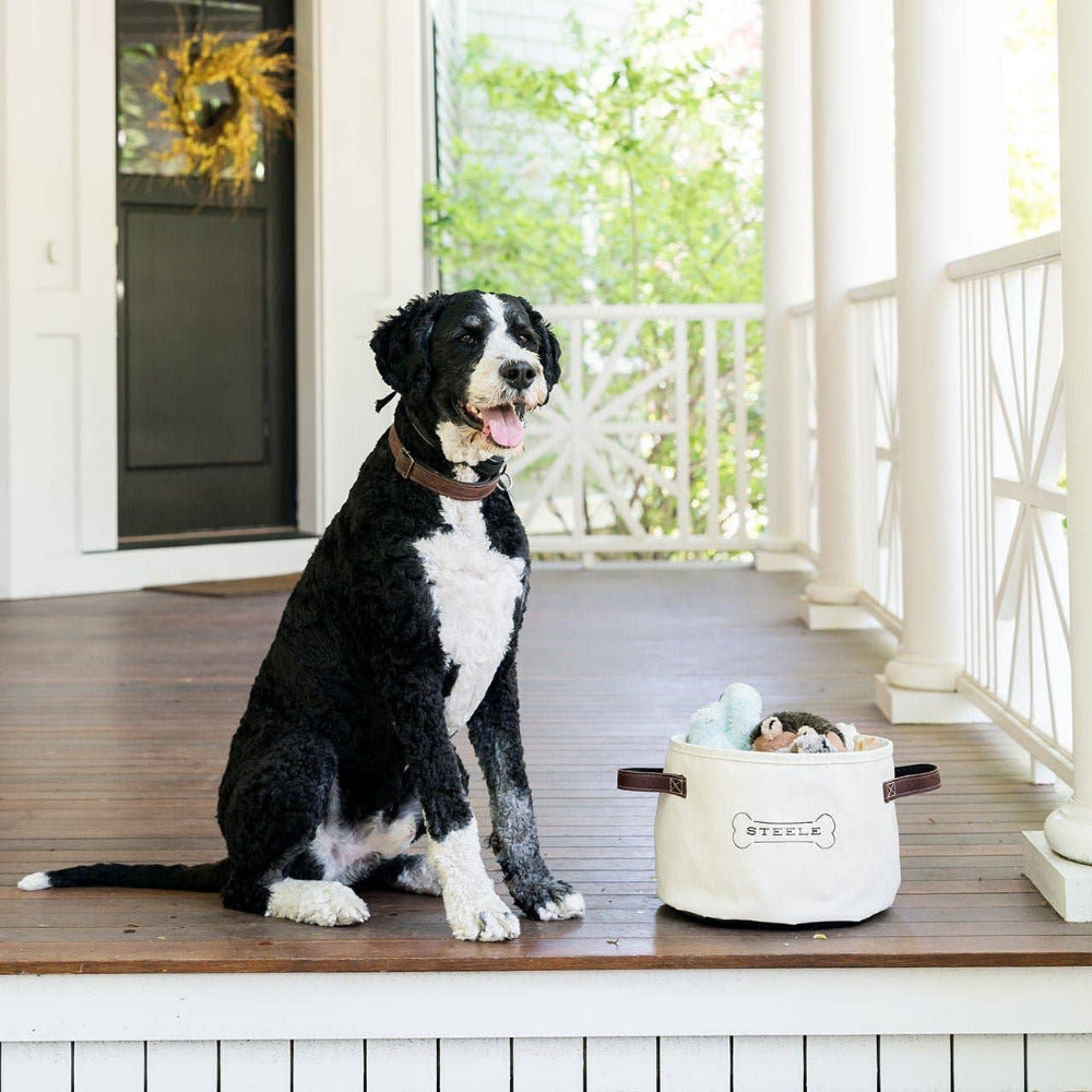 Steele Canvas Basket Corp - Dog Toy Basket