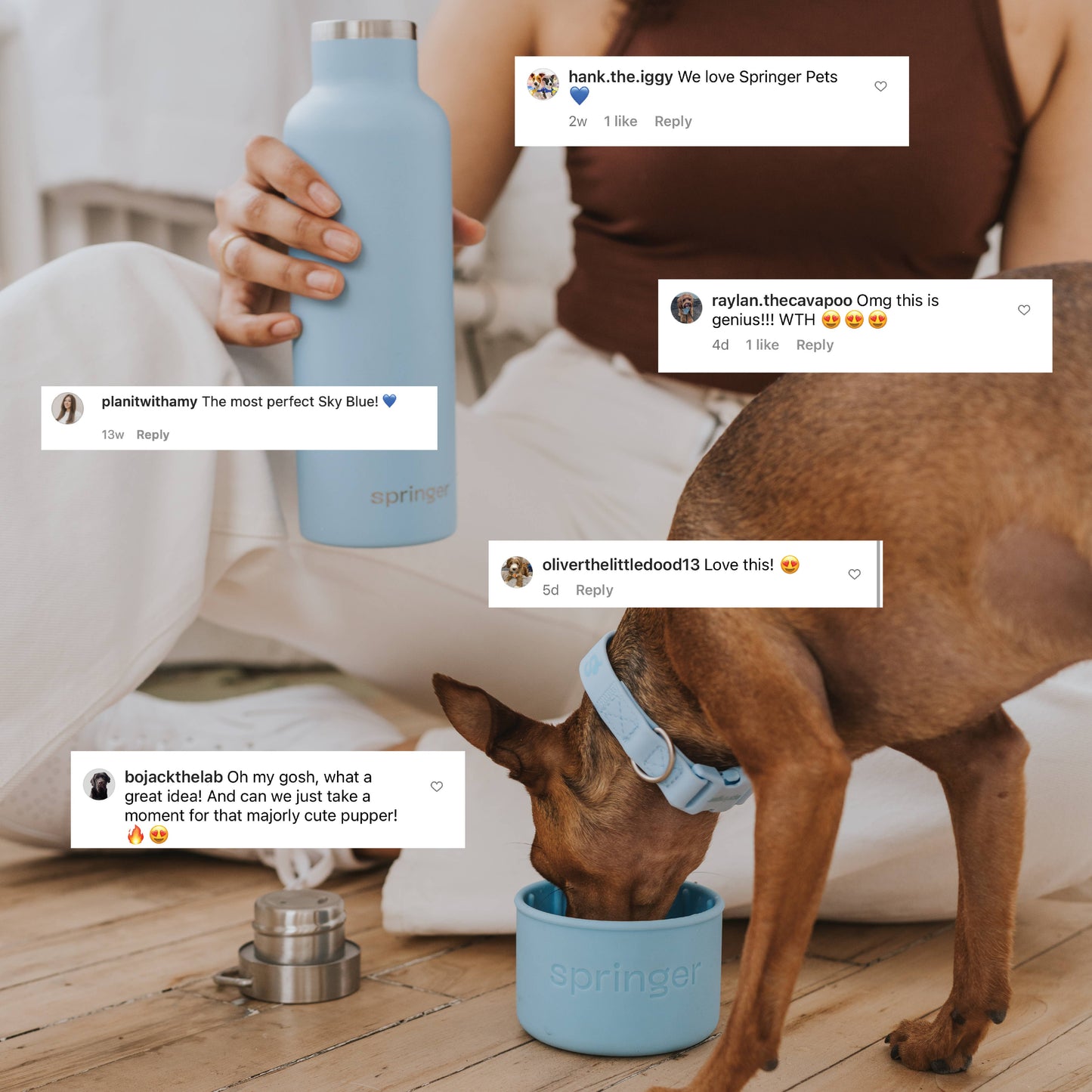 Springer Pets - Dog & Me 24oz Insulated Water Bottle - Sky Blue
