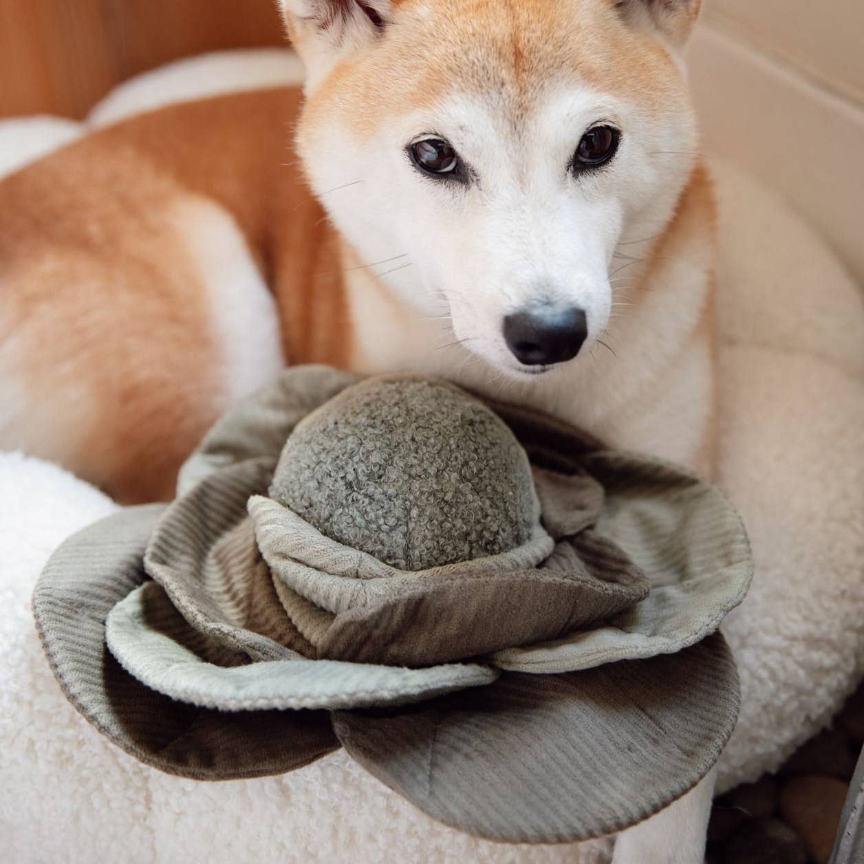 Lambwolf Collective: CABBAGE POP//ENRICHMENT DOG TOY: Green / Medium