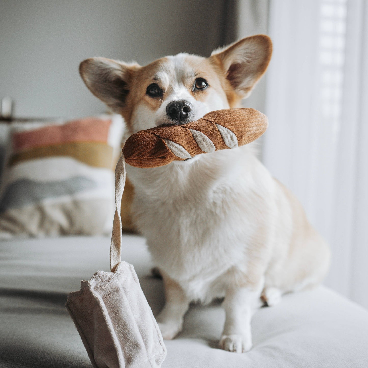 Lambwolf Collective: MINI BAGUETTE