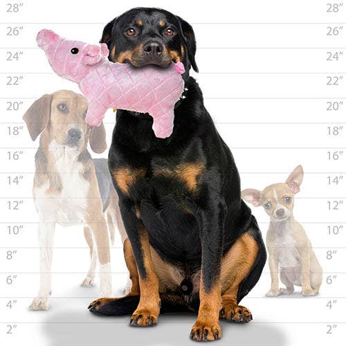 Mighty Farm Piglet, Plush, Squeaky Dog Toy