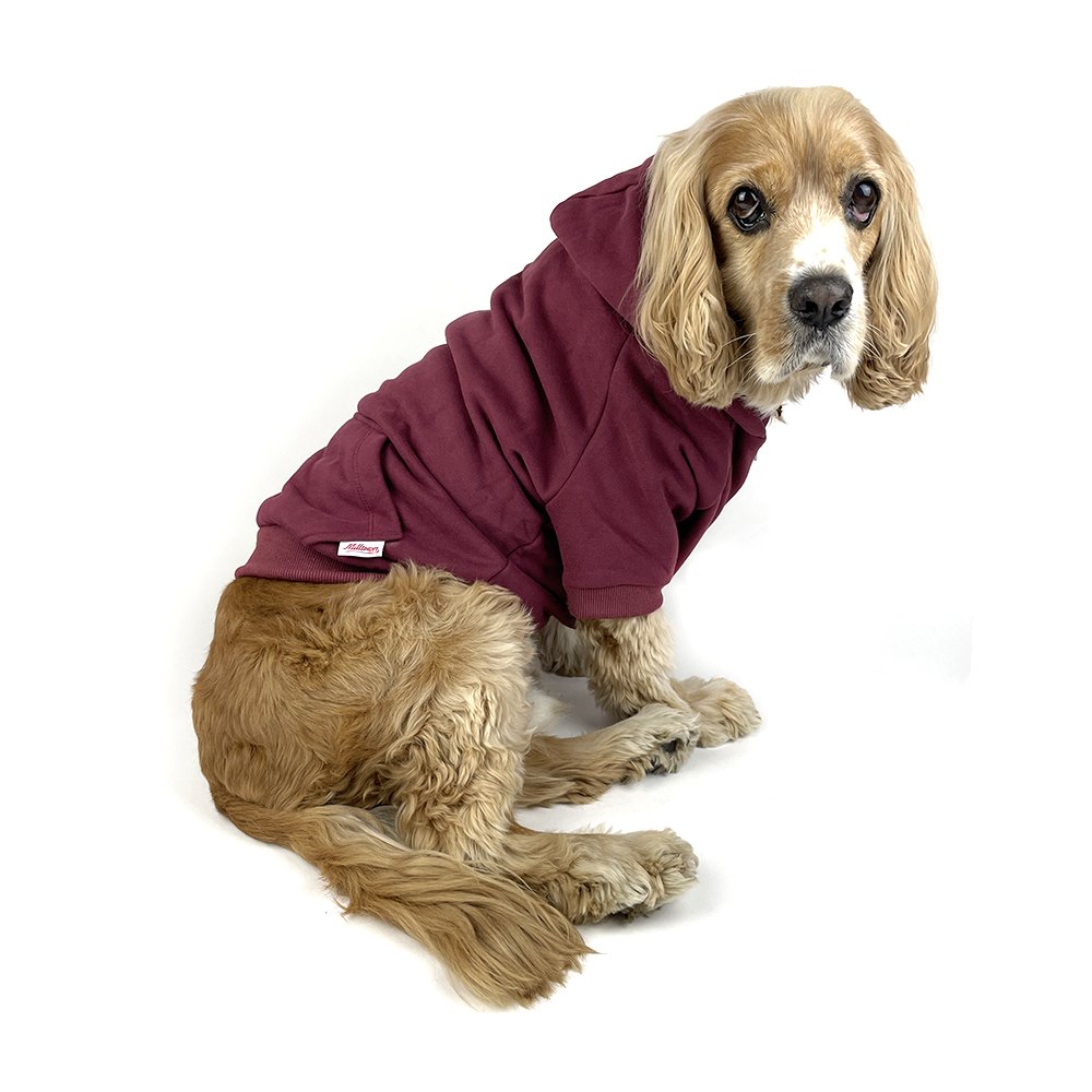 Zip Up Dog Hoodie  - Burgundy