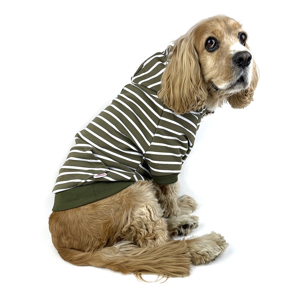 Zip Up Dog Hoodie  - Olive x White Stripe