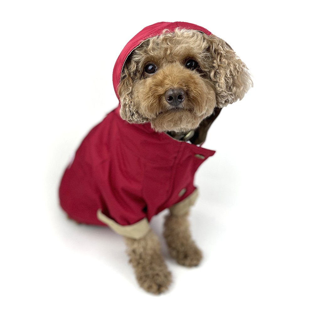 Dog Rain Jacket - Red