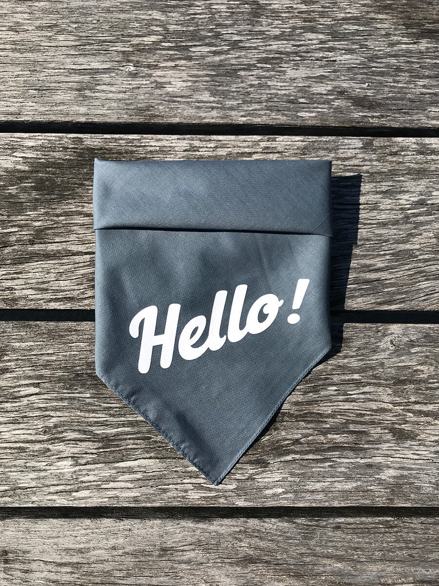 Dog Bandana - Hello!