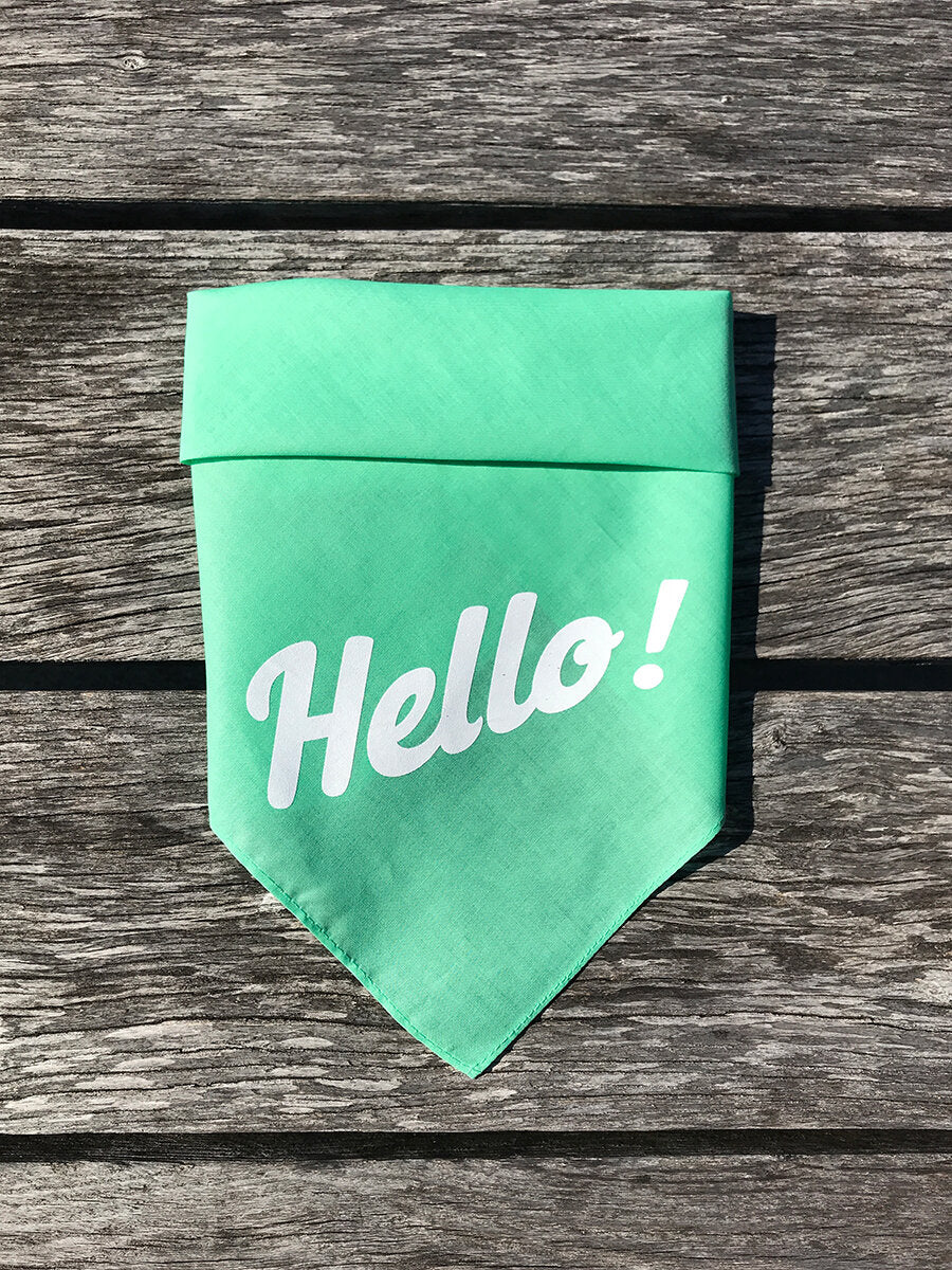 Dog Bandana - Hello!