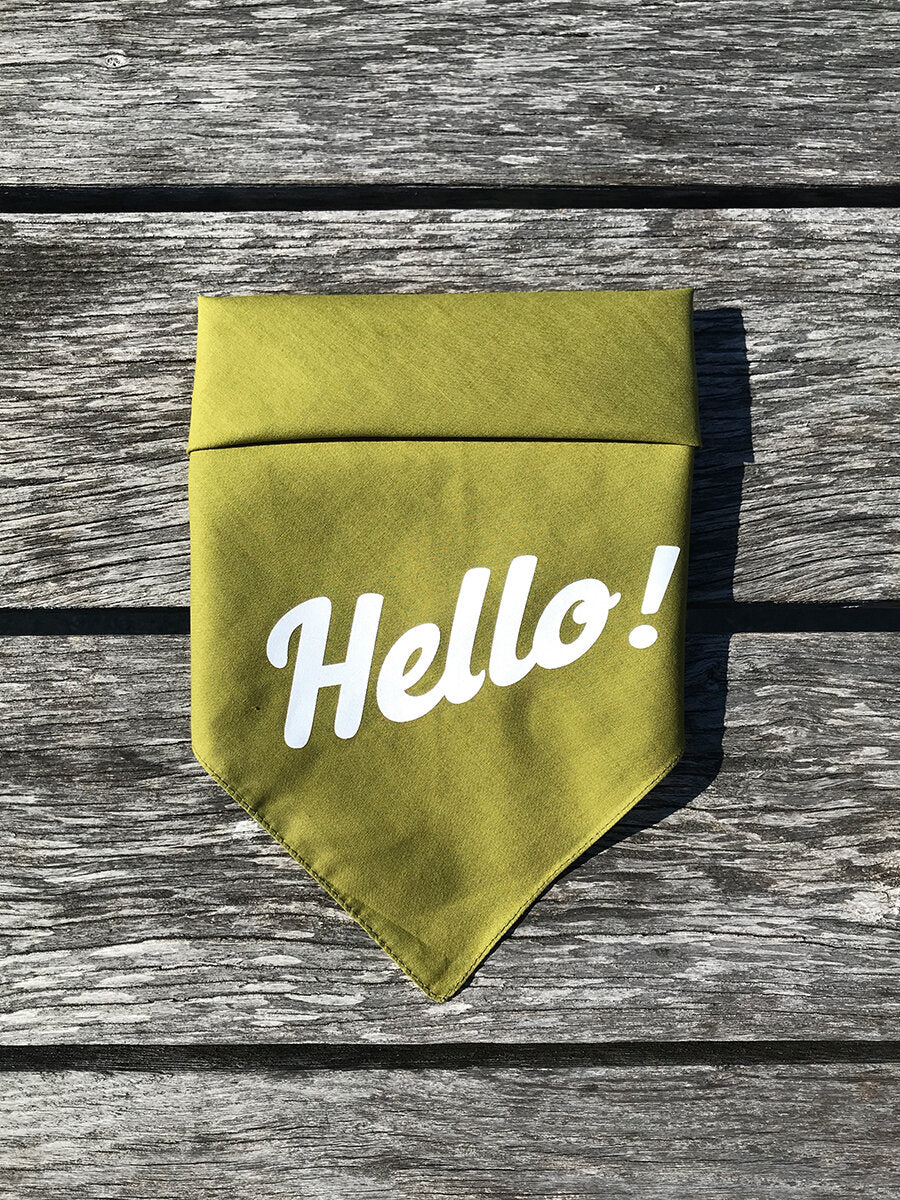 Dog Bandana - Hello!