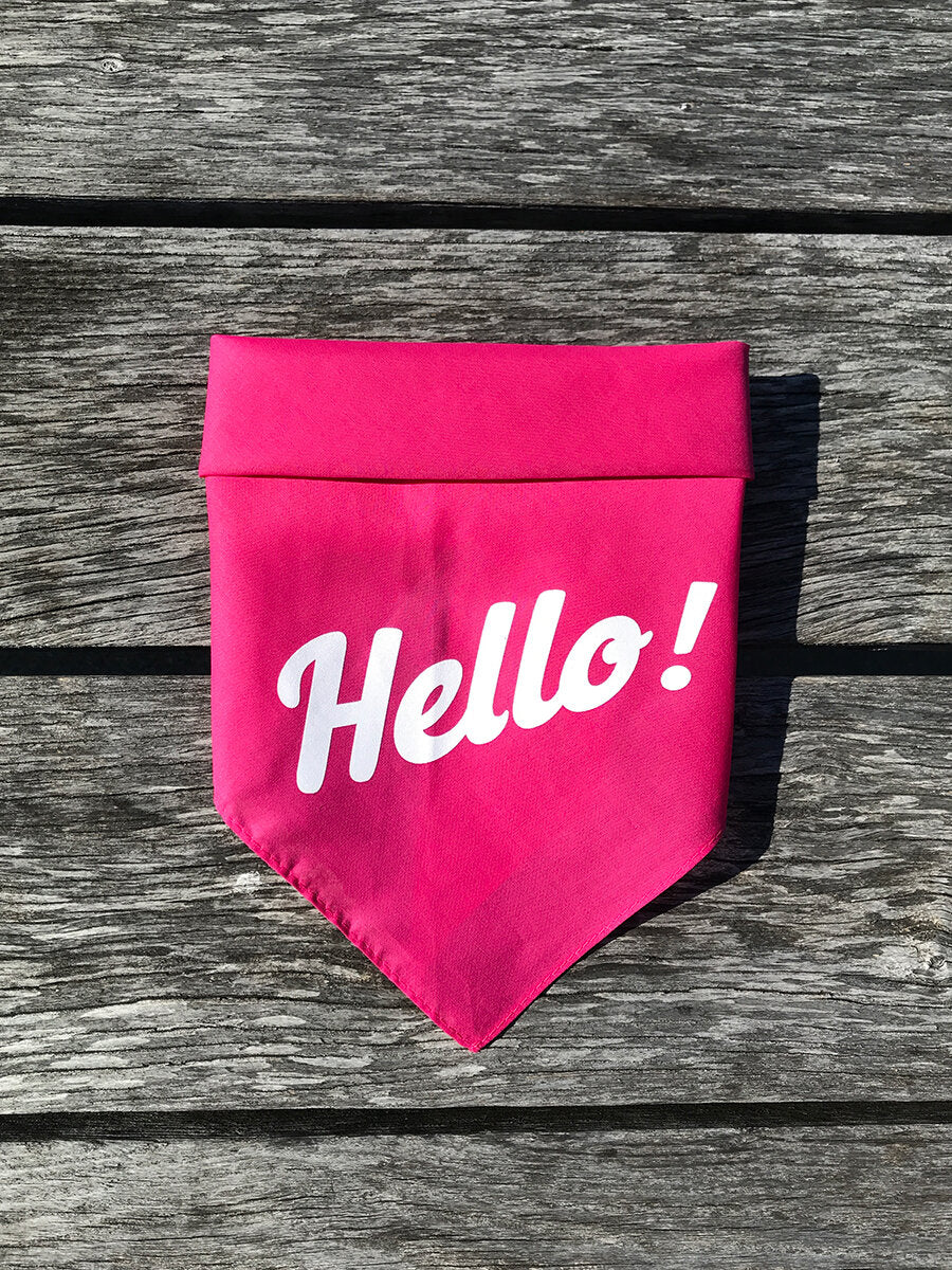 Dog Bandana - Hello!