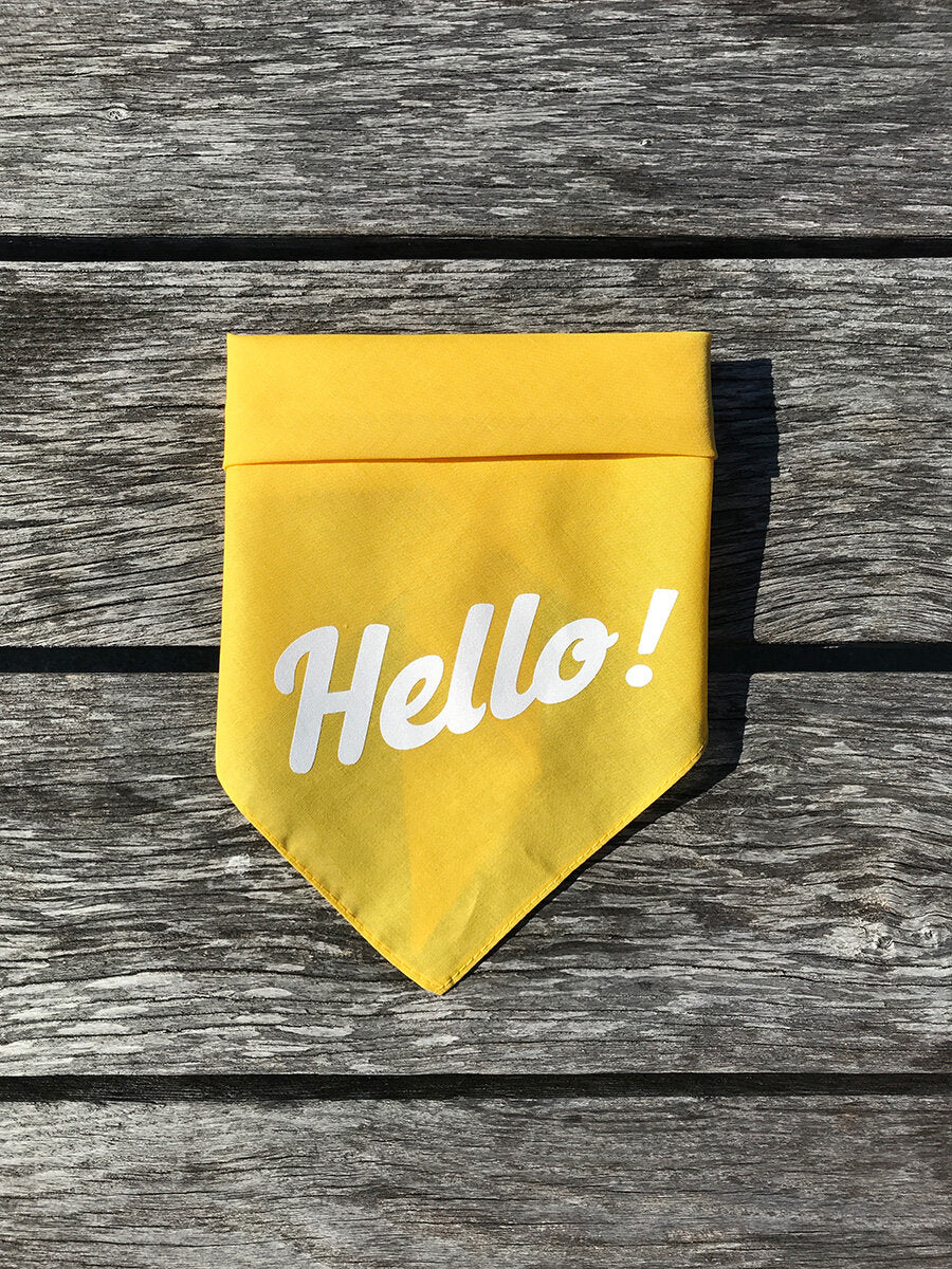 Dog Bandana - Hello!