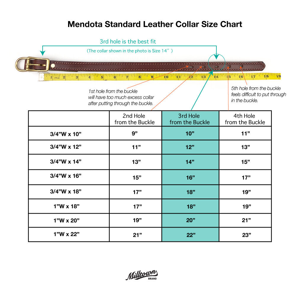 Mendota Leather Dog Collar