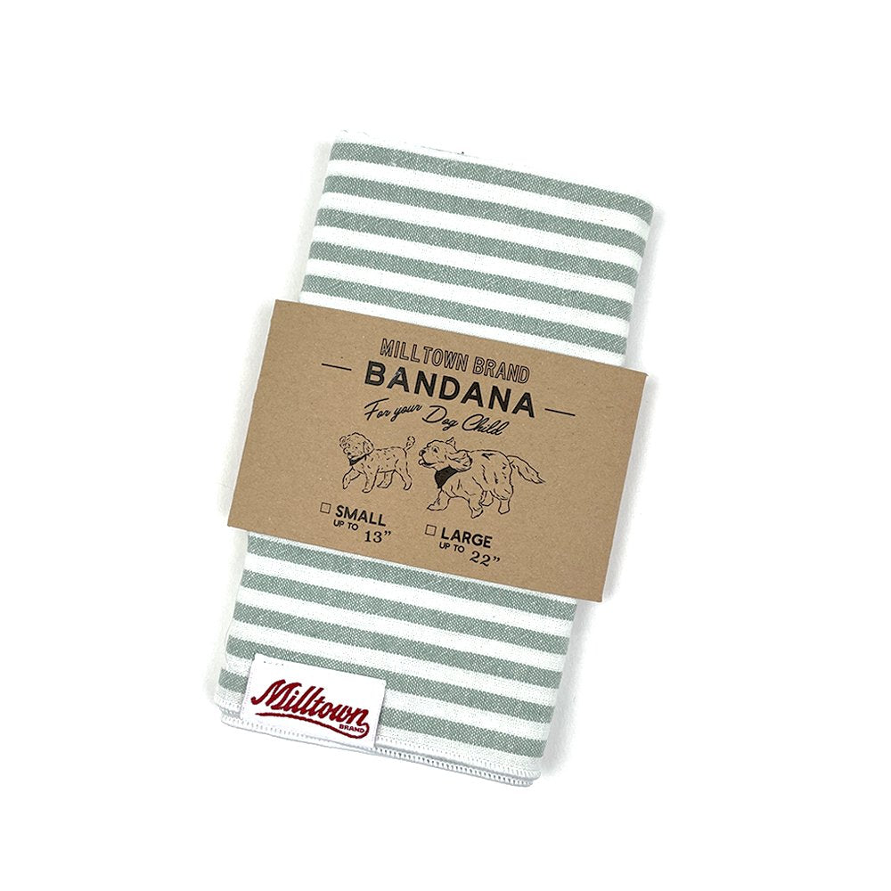 Square Dog Bandana - Surf Green Stripe