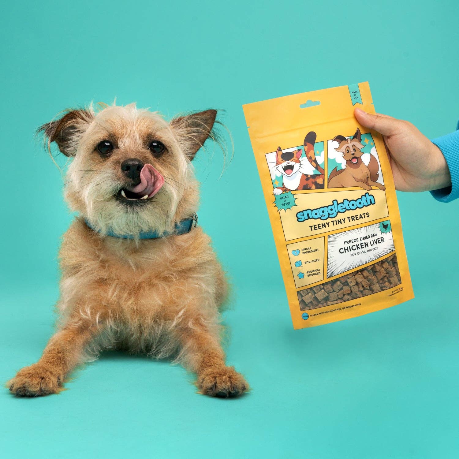 Dog Treats