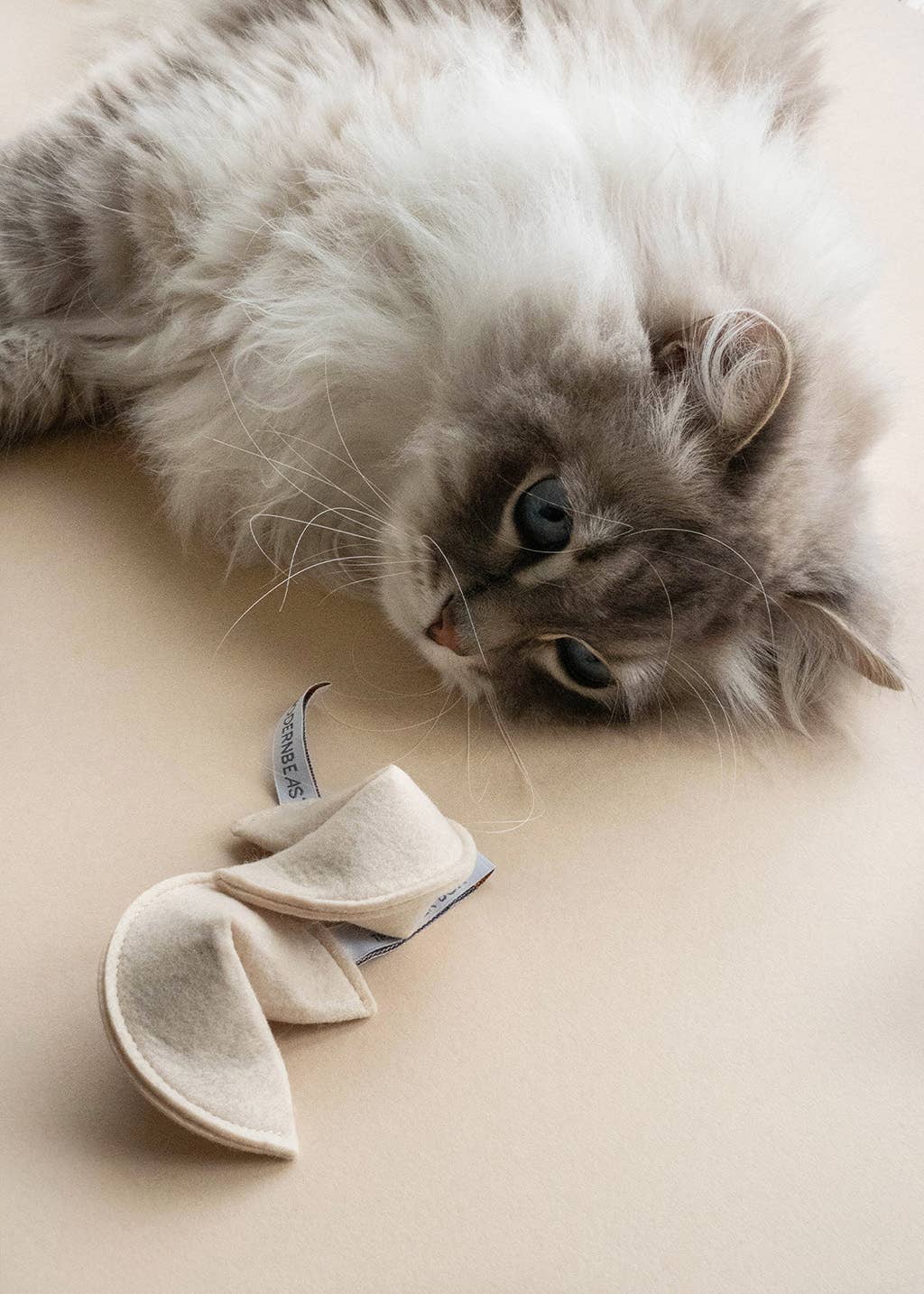 Cat Toys