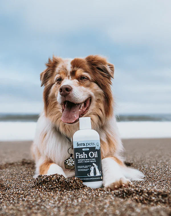 Pet Supplements