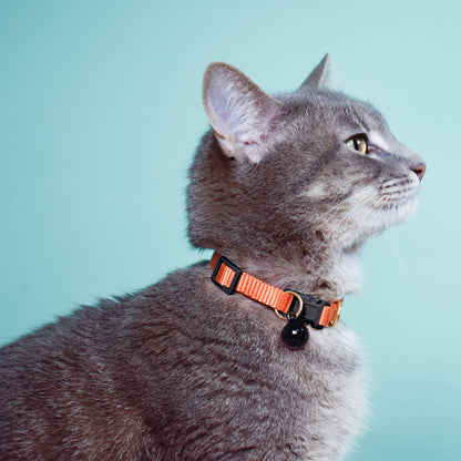Major Darling - Breakaway Cat Collar: Aqua