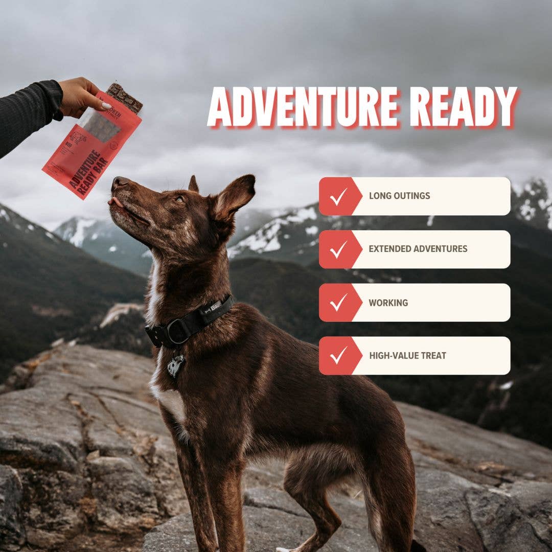 RYŌKEN INSTINCT - Beef Treat & Snack Bar for Active Dogs - Energy & Recovery
