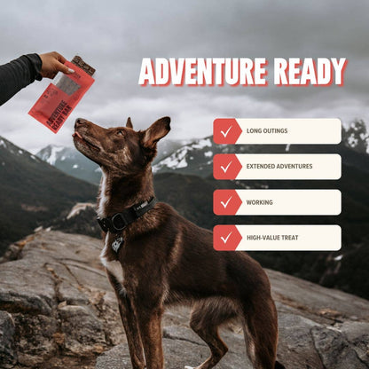 RYŌKEN INSTINCT - Beef Treat & Snack Bar for Active Dogs - Energy & Recovery