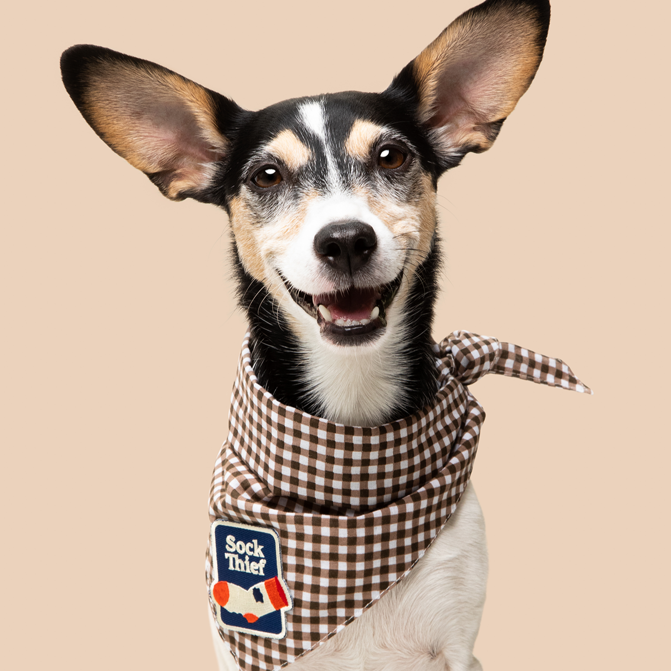 Scout's Honour - Sock Thief iron-on patch for dogs