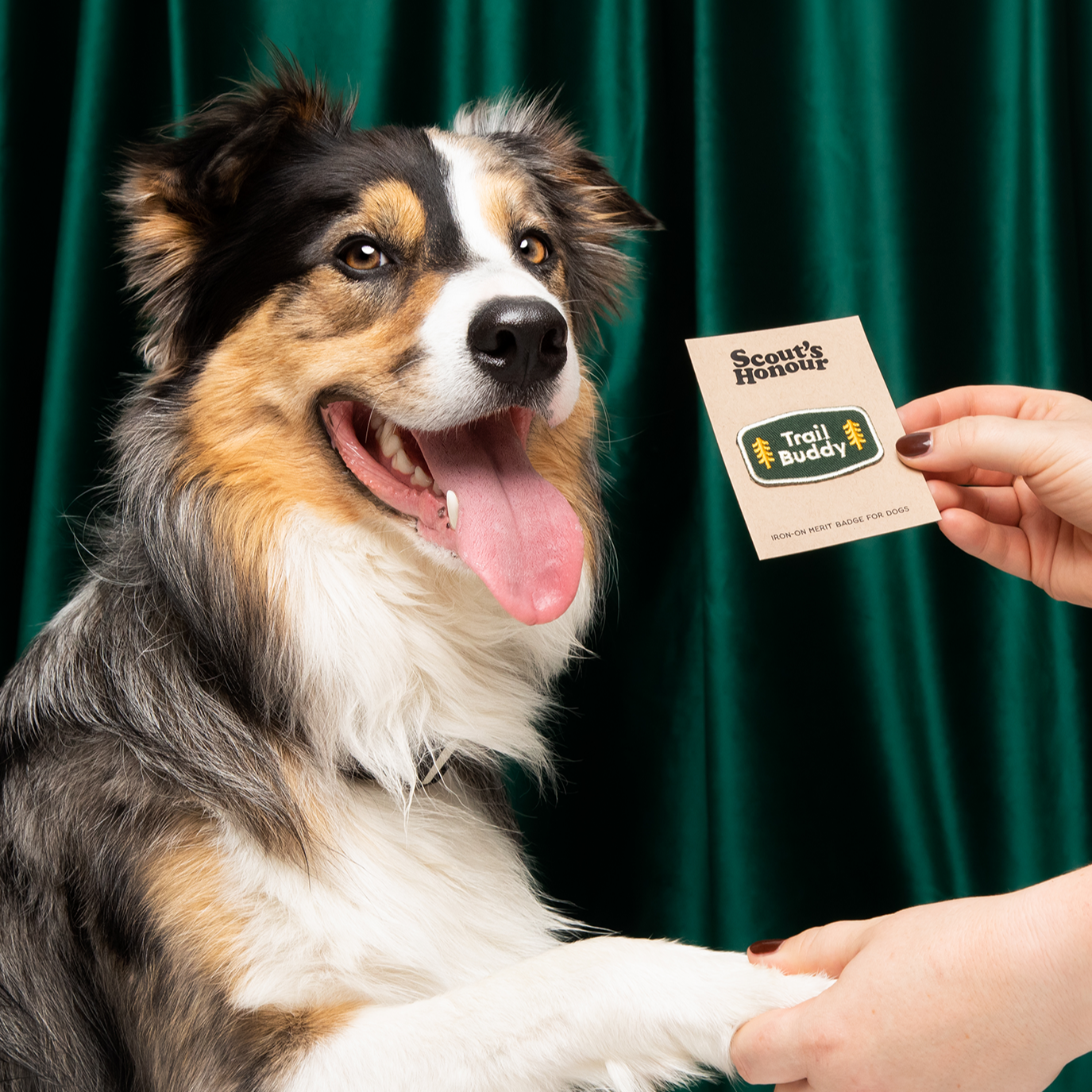Scout's Honour - Trail Buddy iron-on patch for dogs