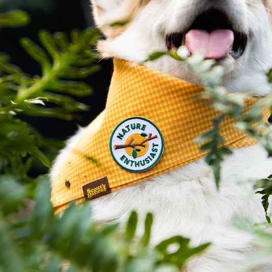 Scout's Honour - Nature Enthusiast iron-on patch for dogs