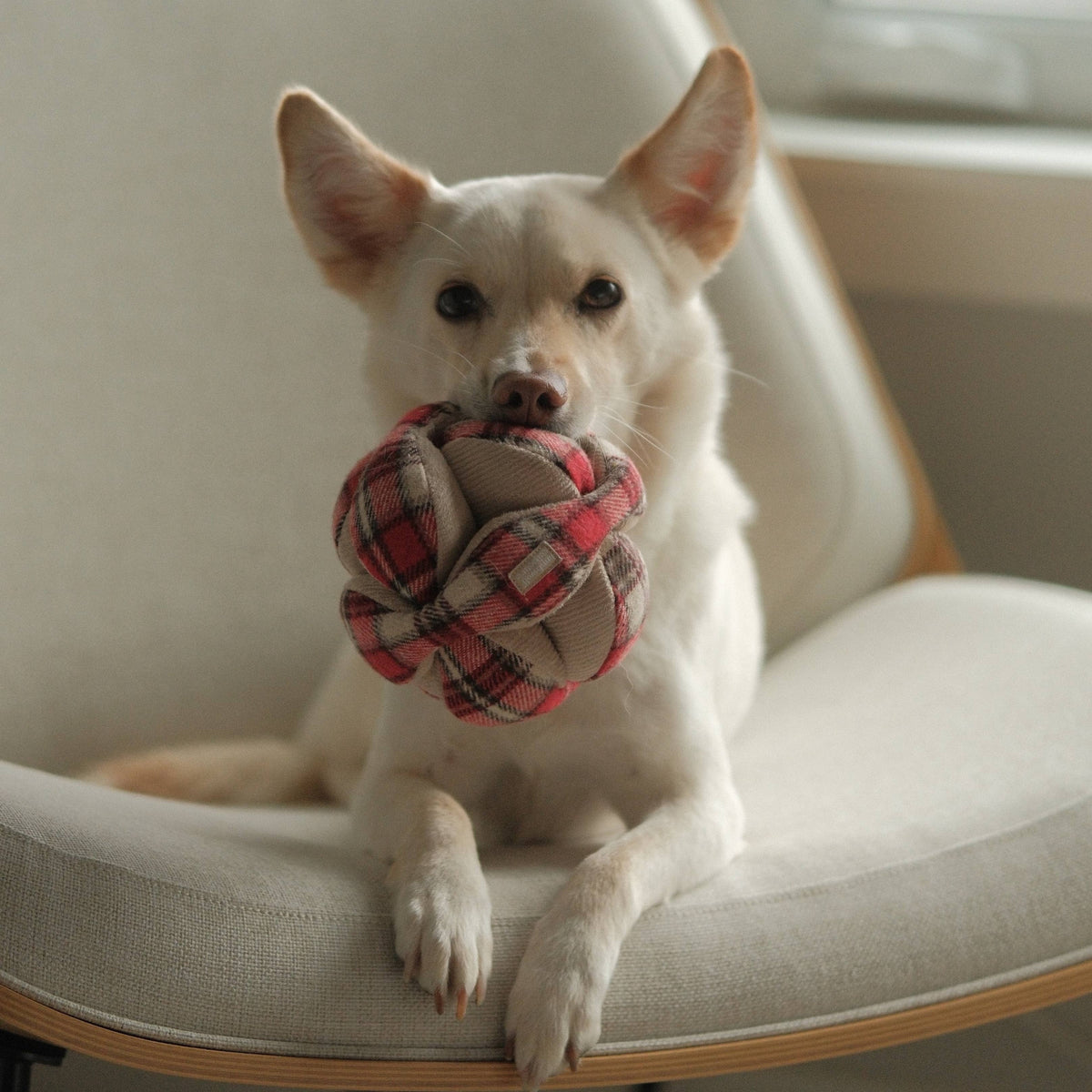 Lambwolf Collective - FLANNEL MONTI // ENRICHMENT DOG TOY // HOLIDAY