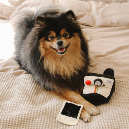 Lambwolf Collective - INSTANT CAMERA // ENRICHMENT DOG TOY
