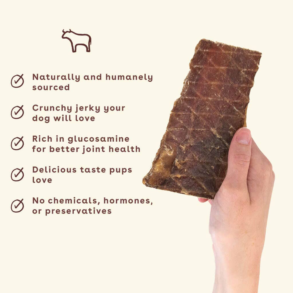 Pupford - Beef Jerky Treats 4 oz