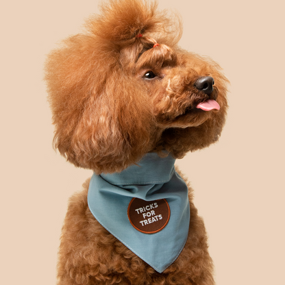Scout's Honor - Tricks for Treats iron-on patch for dogs