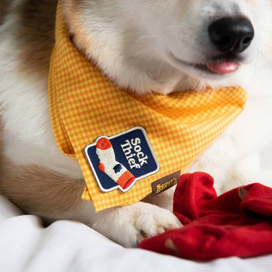 Scout's Honour - Sock Thief iron-on patch for dogs
