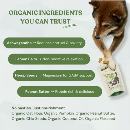 Botanical Bones - Balance + Calm Cookies - All Natural, Organic Dog Treats