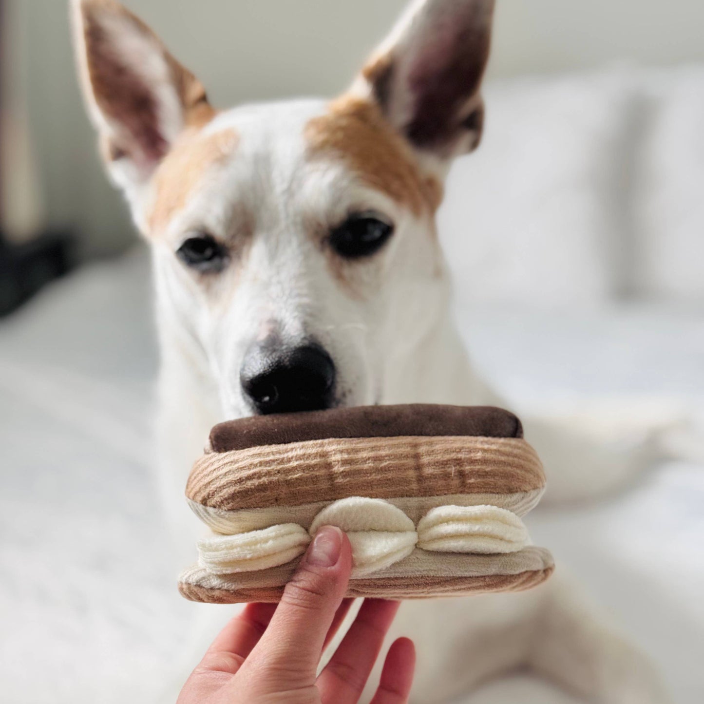 Lambwolf Collective - ECLAIR/ENRICHMENT DOG TOY