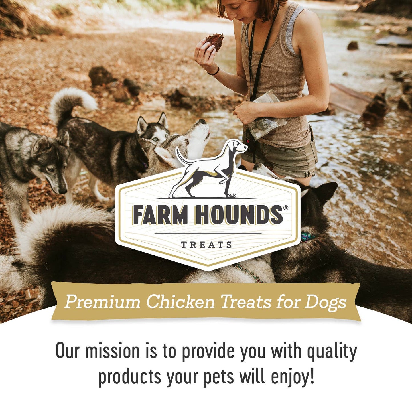 Farm Hounds - Chicken Jerky - All-Natural Dog Treats - 3.5oz: 3.5oz