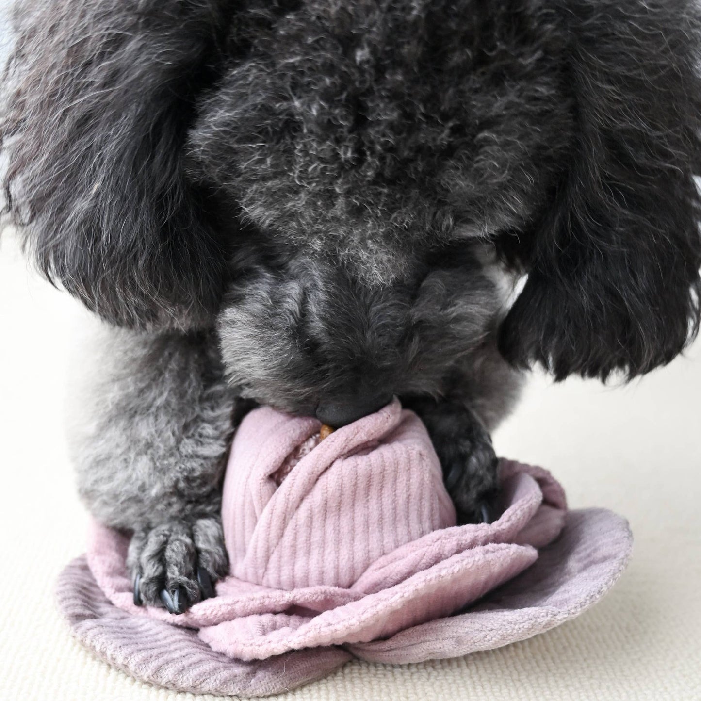 Lambwolf Collective - CABBAGE POP//ENRICHMENT DOG TOY: Red / Medium